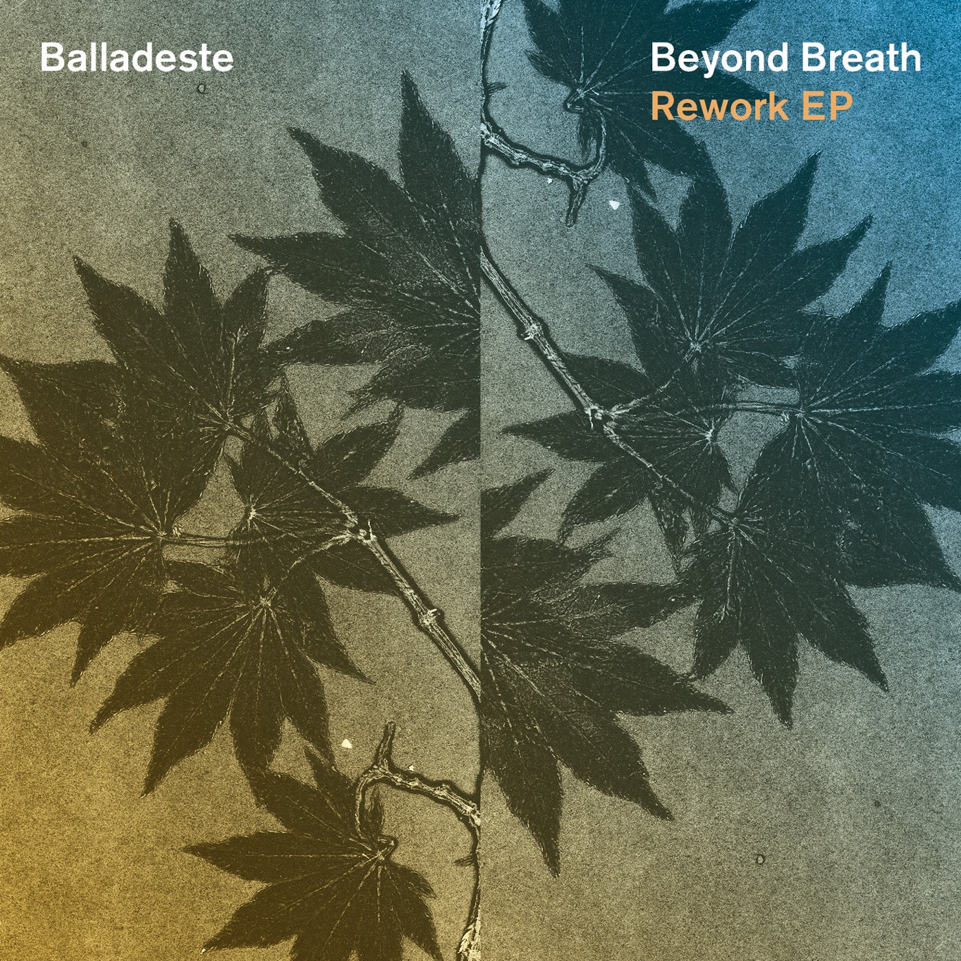 Beyond Breath Rework EP