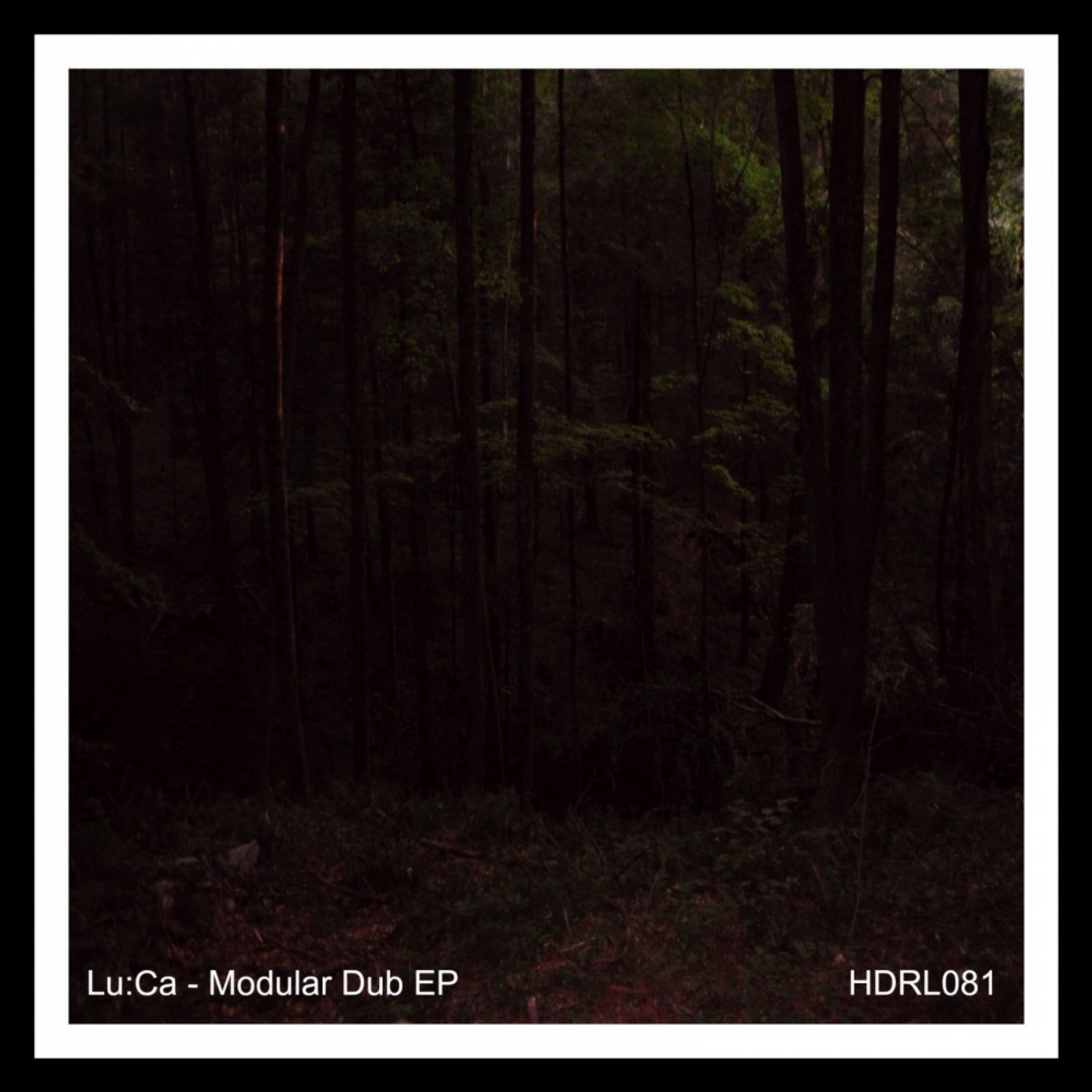 Modular Dub EP