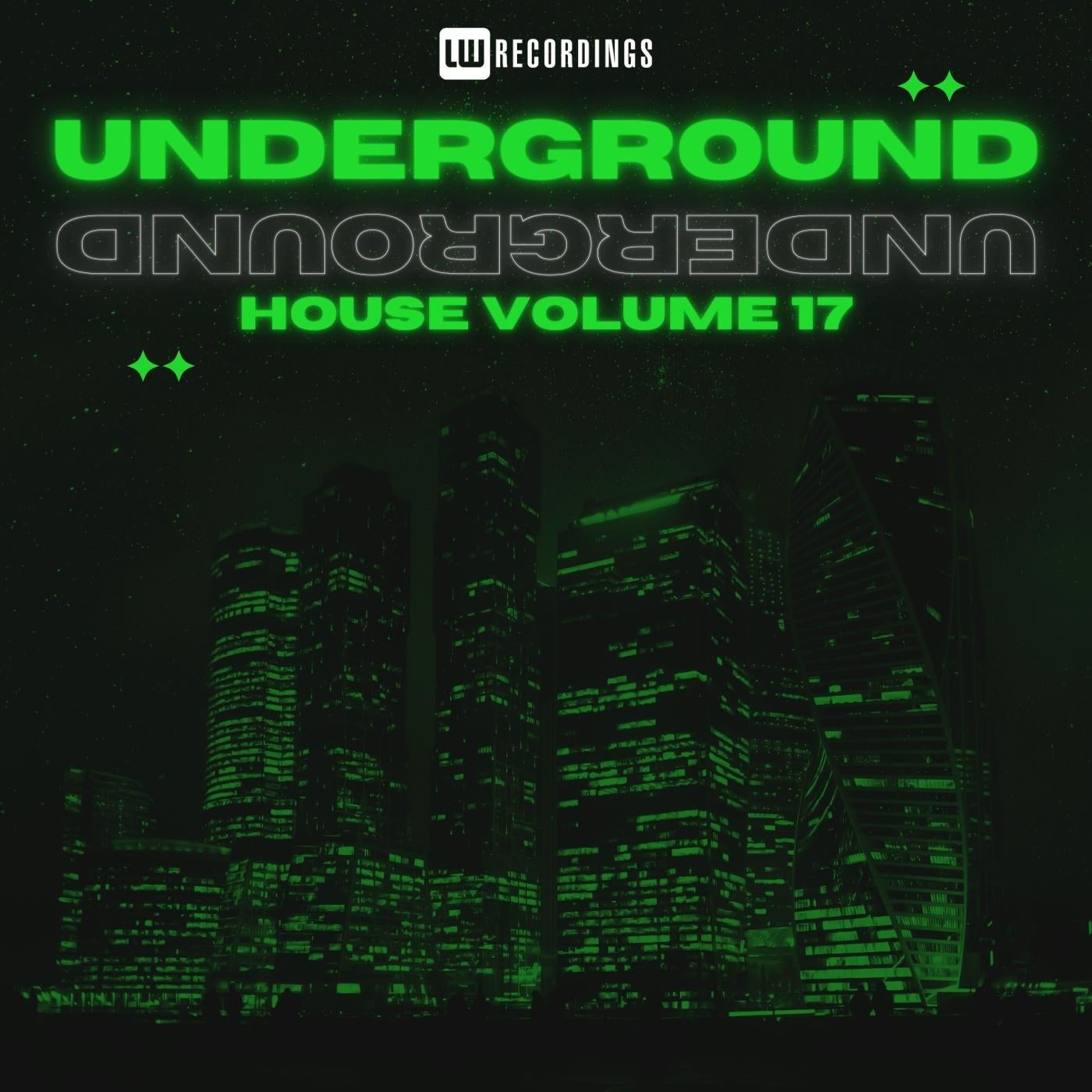 Underground House, Vol. 17