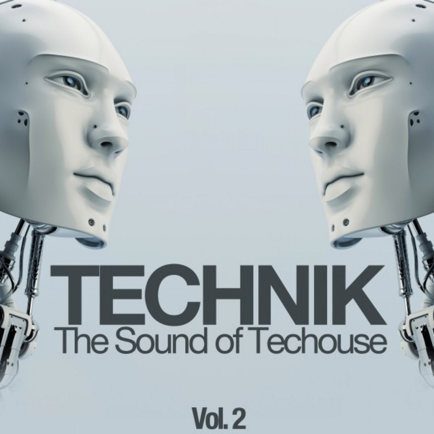 Technik, Vol. 2 (The Sound of Techouse)