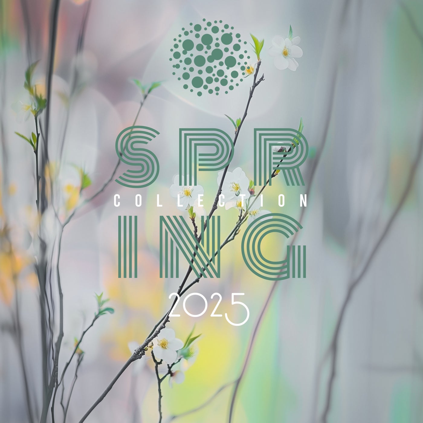 Spring Collection 2025