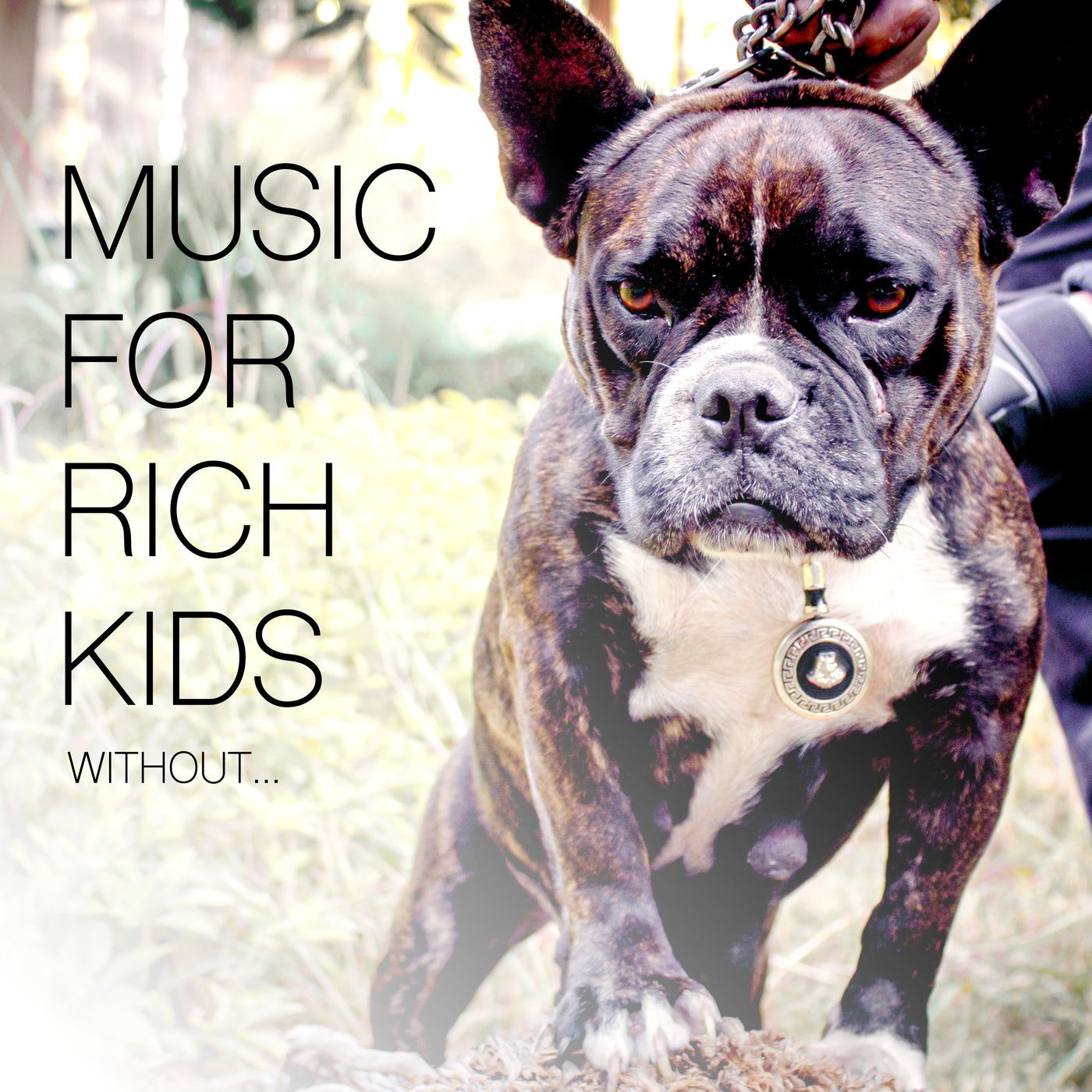 Music for Rich Kids Without...