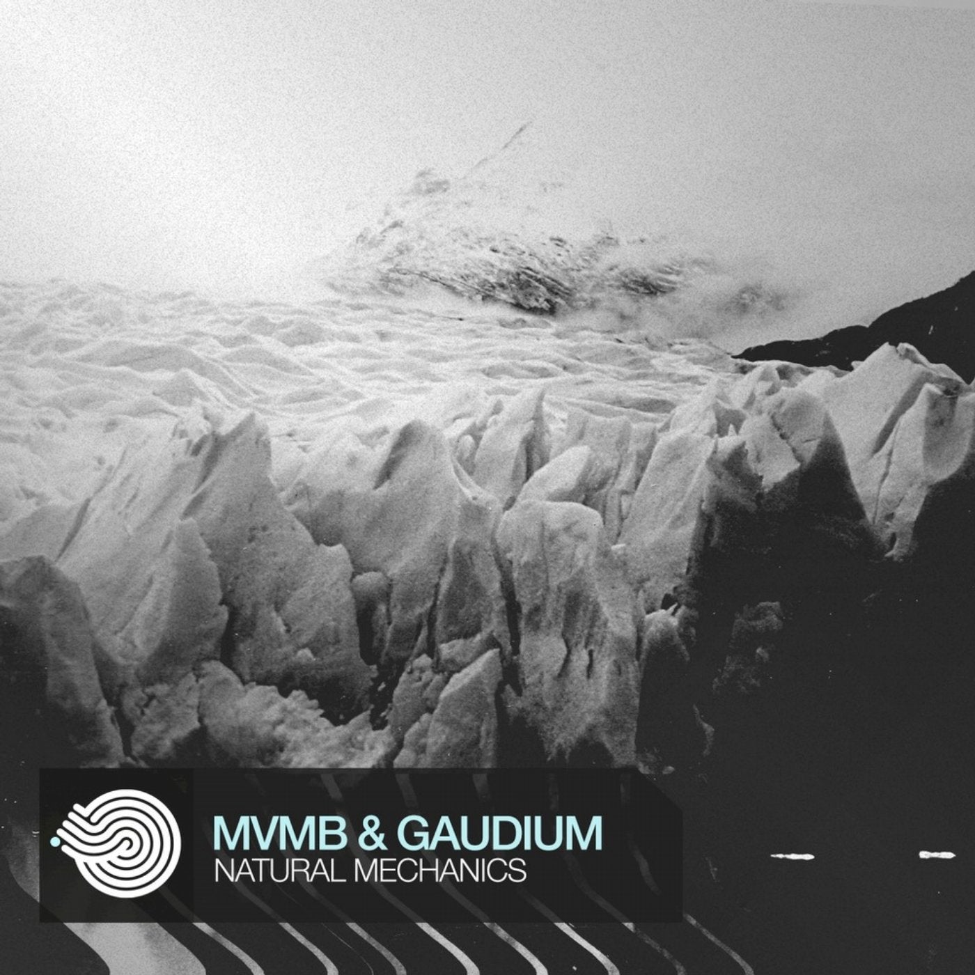 GAUDIUM - Stories of a viking (Iboga Records)