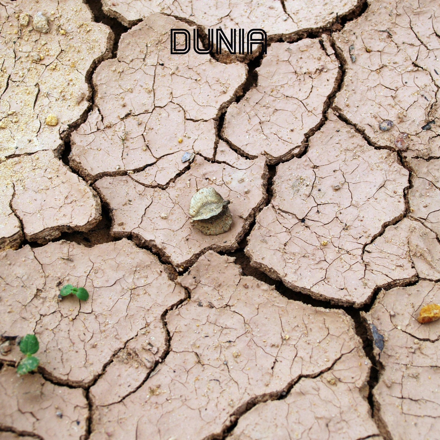 Dunia