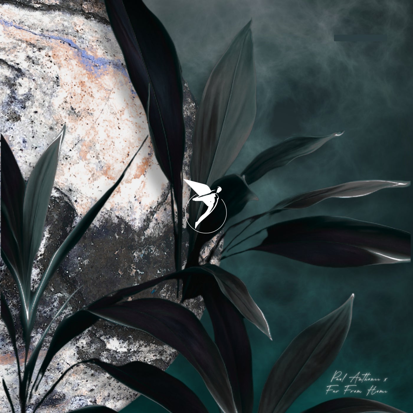 The Encounter