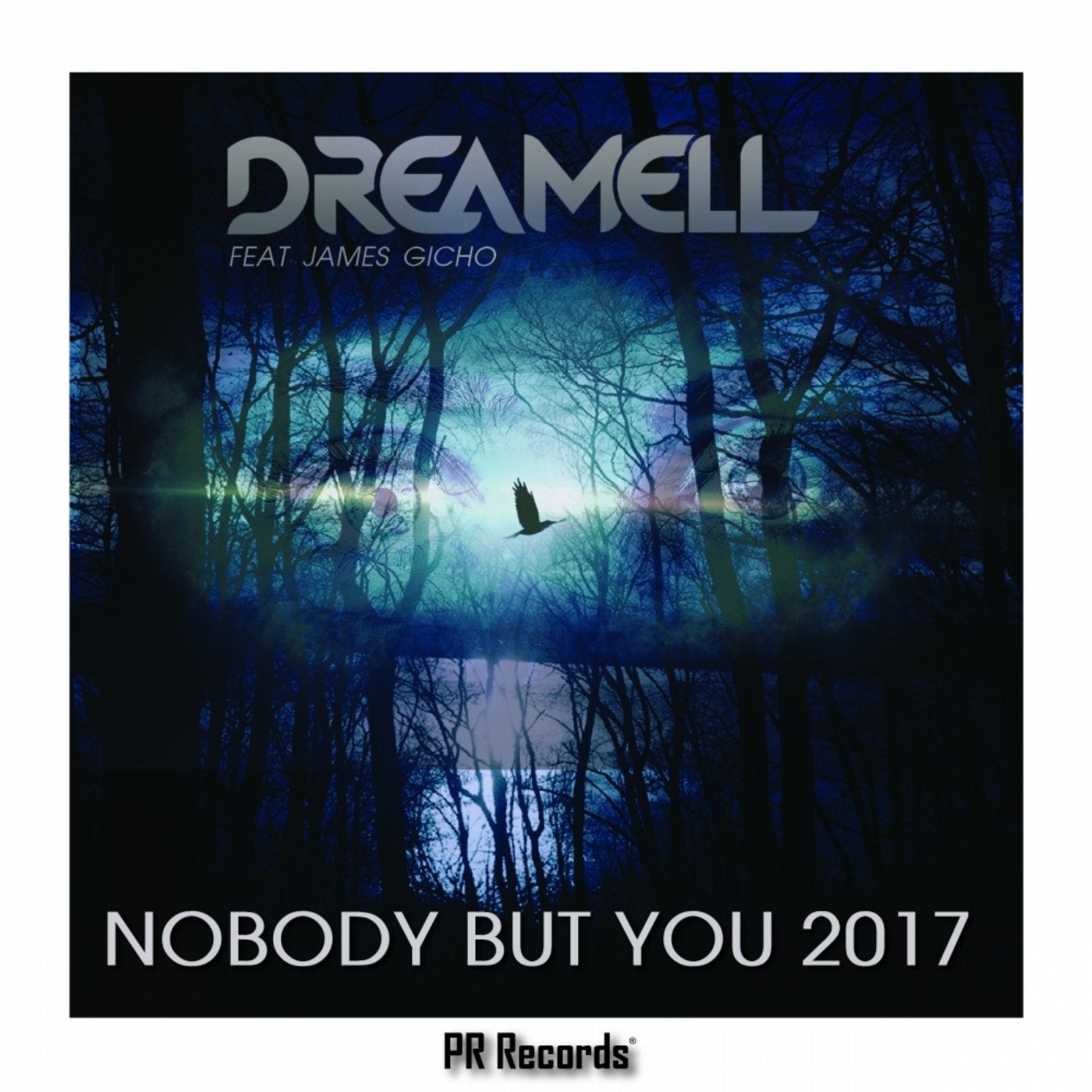 Nobody But You 2017