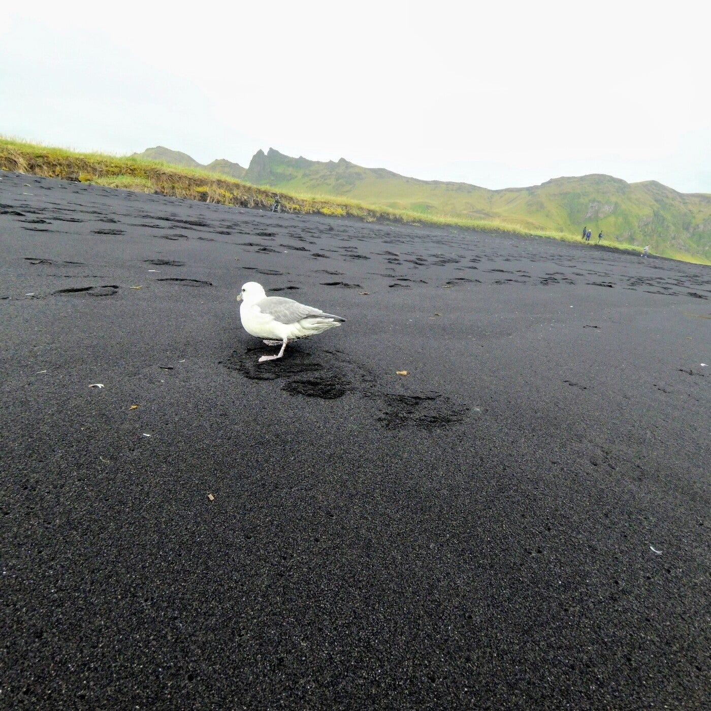 Black Sand