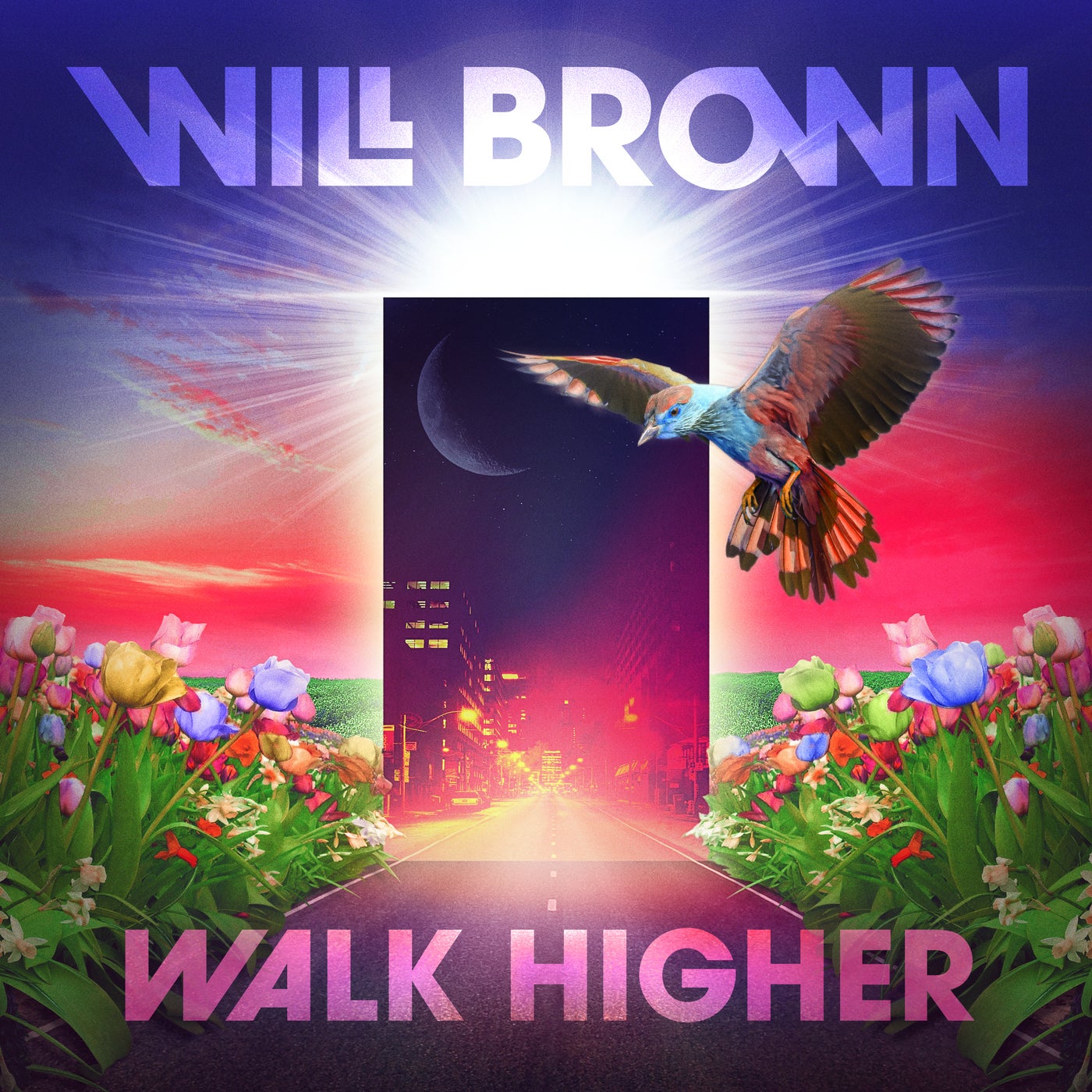 Walk Higher