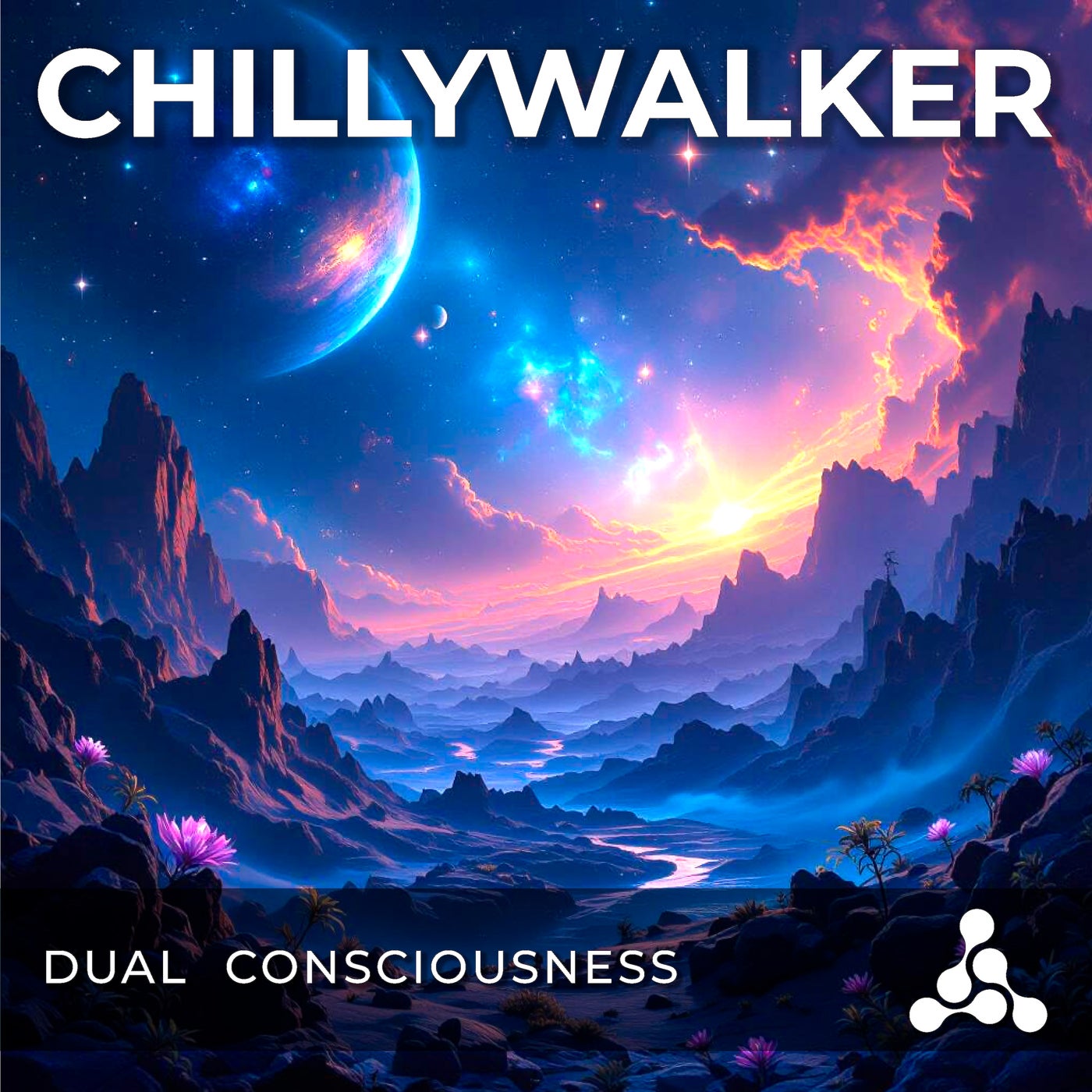 Dual Consciousness