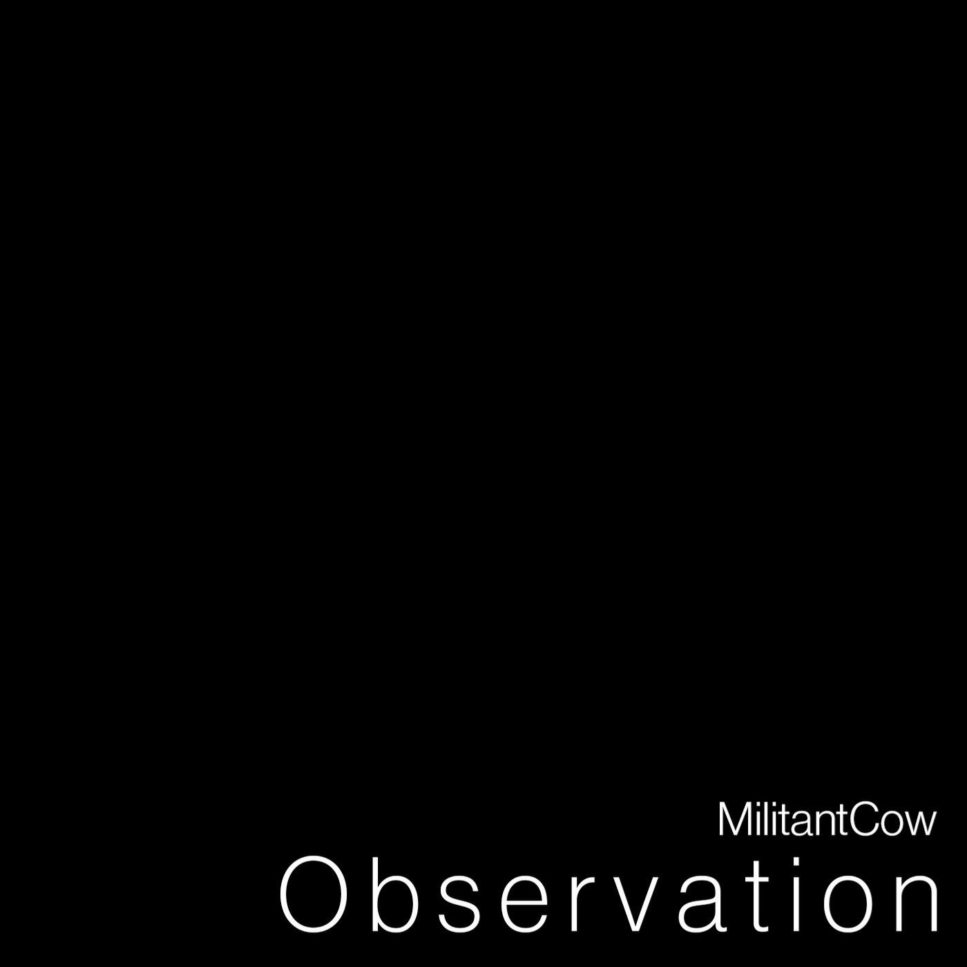 Observation - 2019 Mix