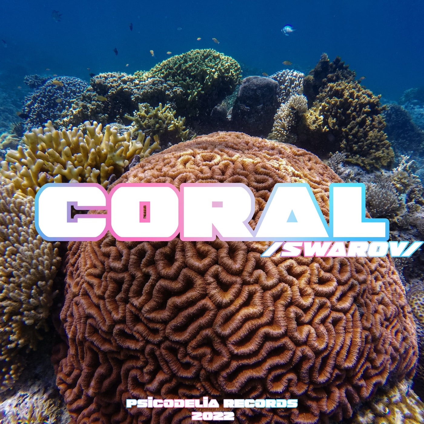 Coral