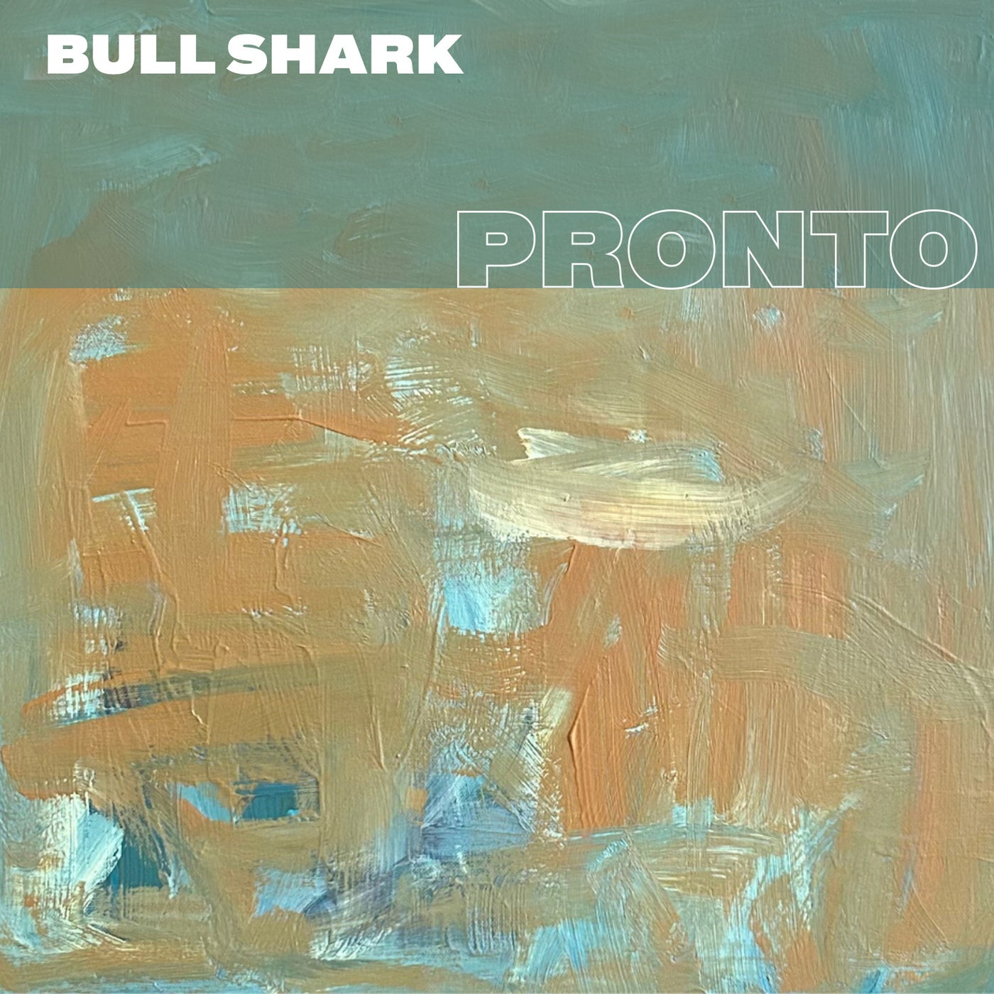 Bull Shark