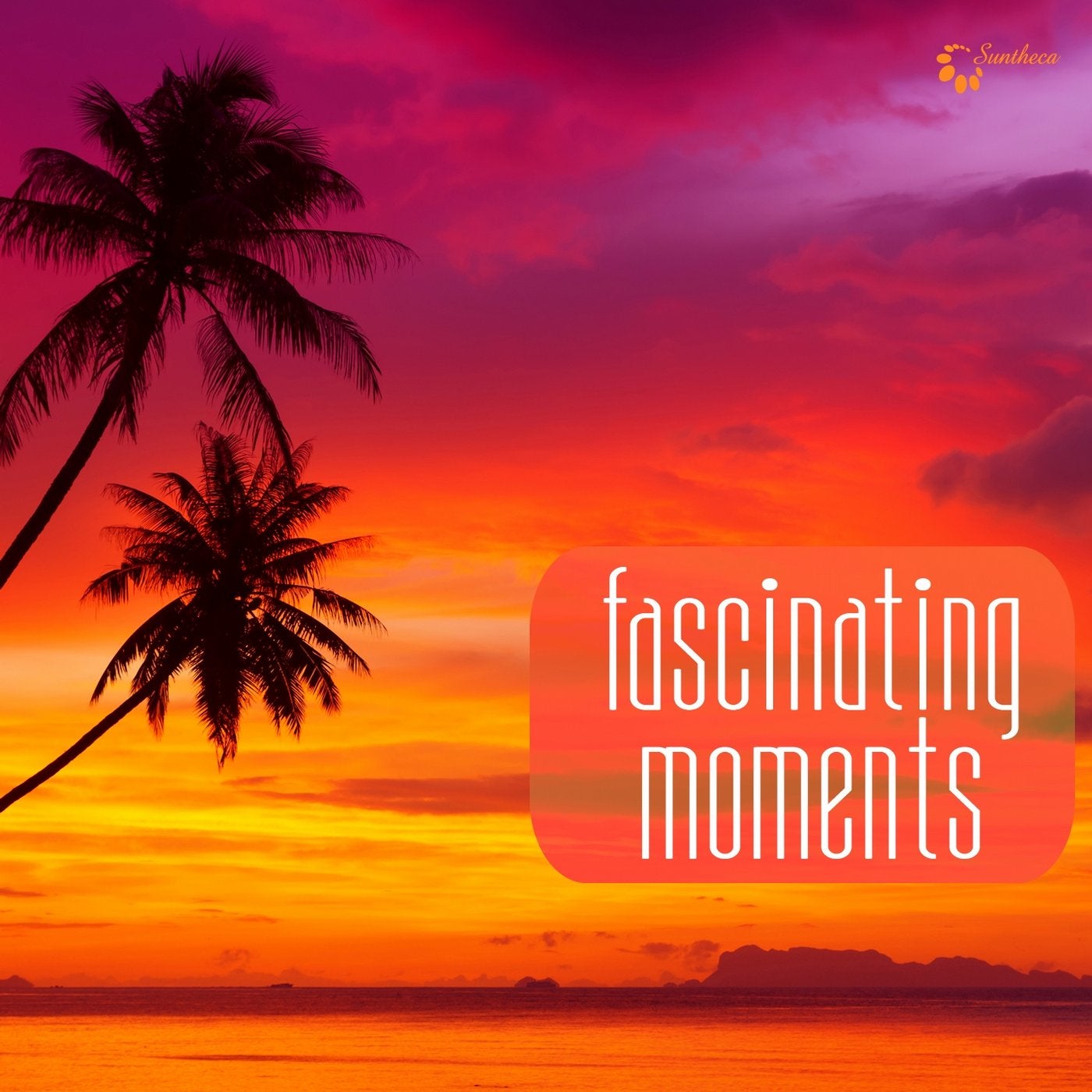Fascinating Moments