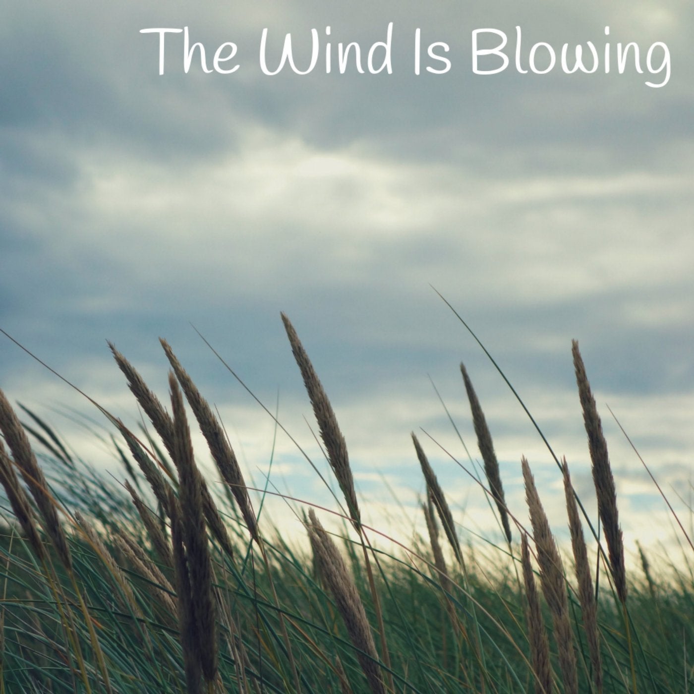 The Wind Is Blowing