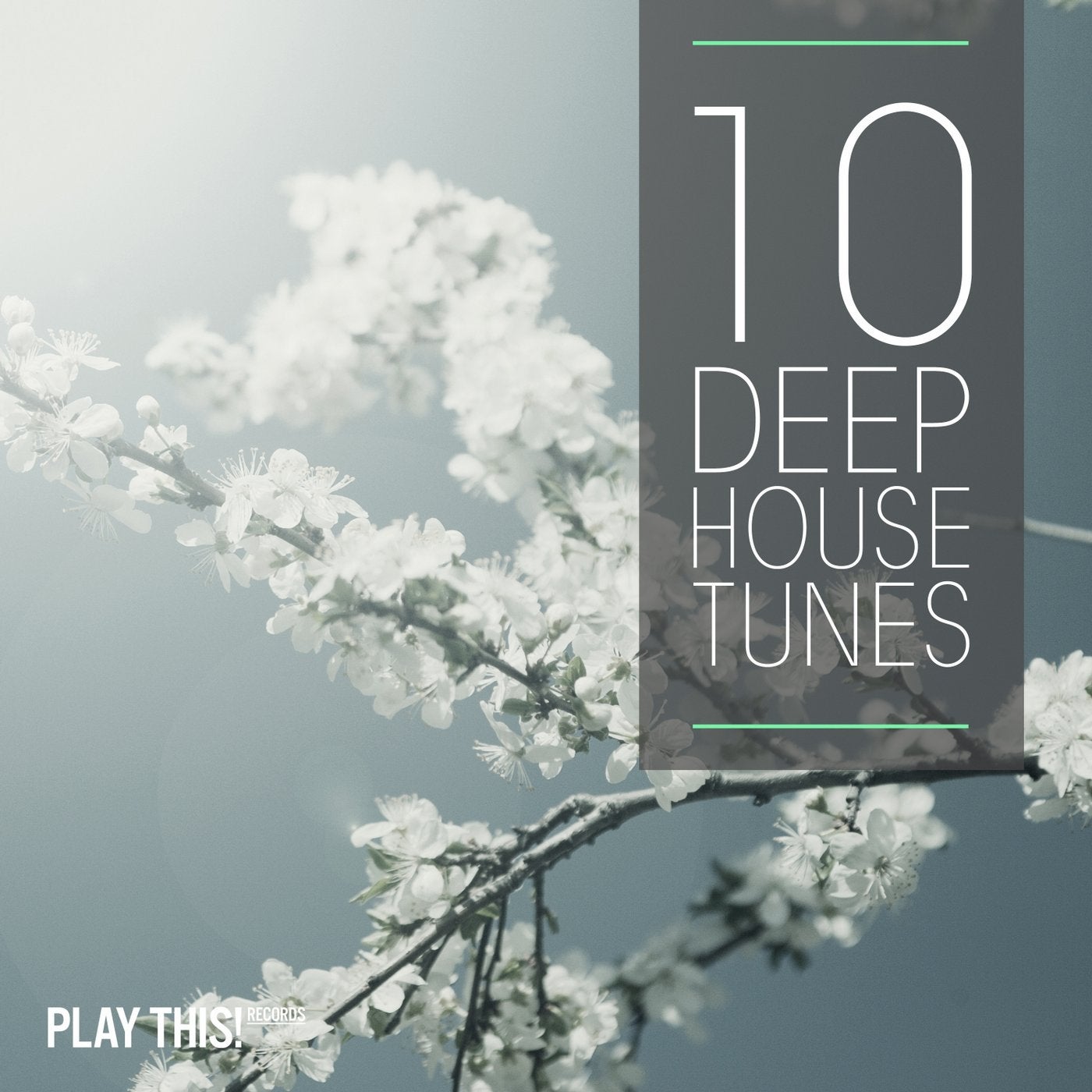 10 Deep House Tunes