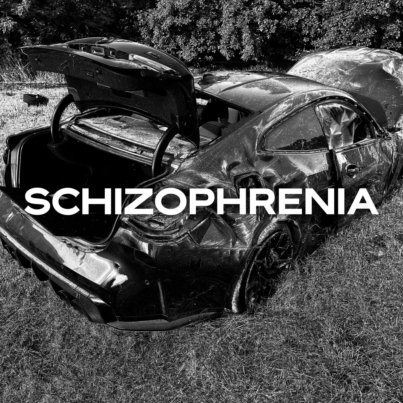 SCHIZOPHRENIA