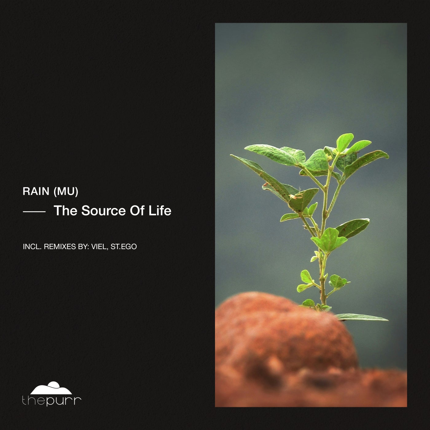 The Source Of Life