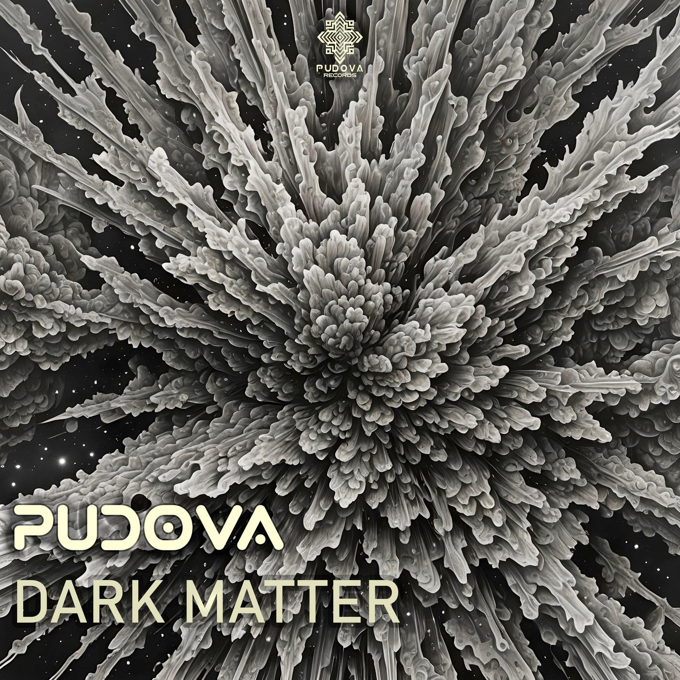 Dark Matter