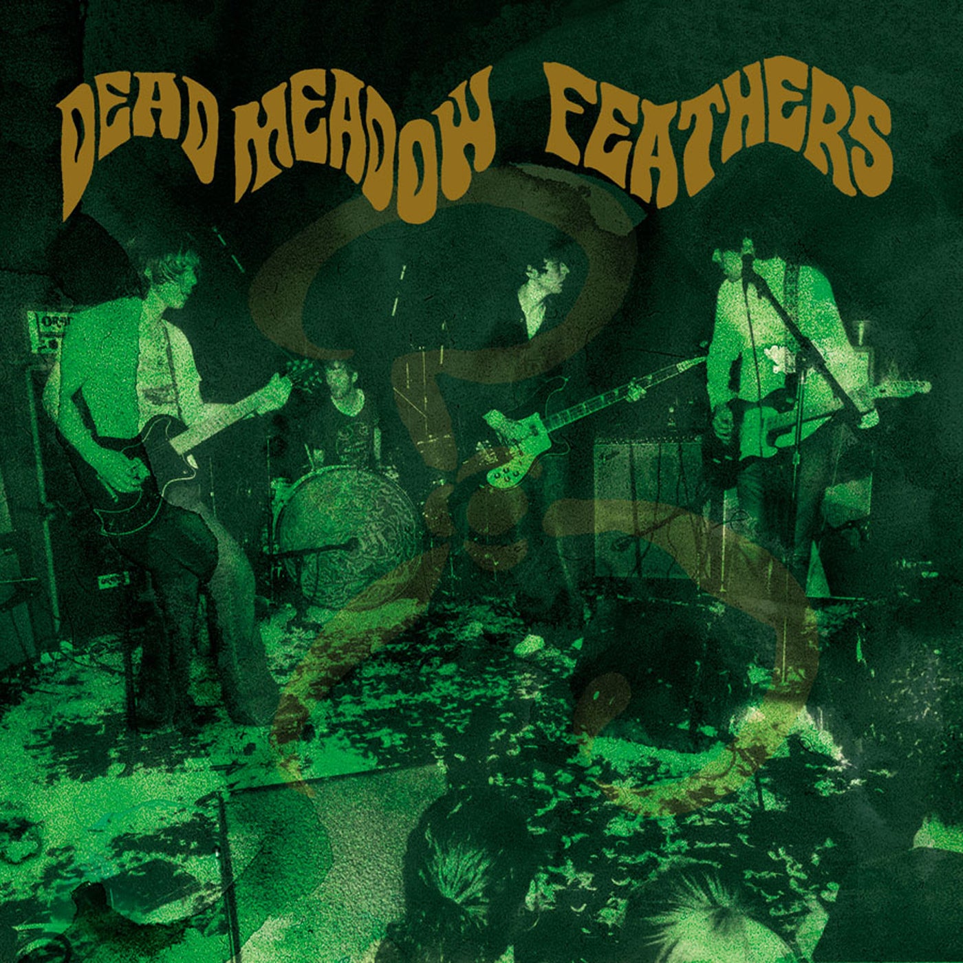 Feathers - 20th Anniversary Edition