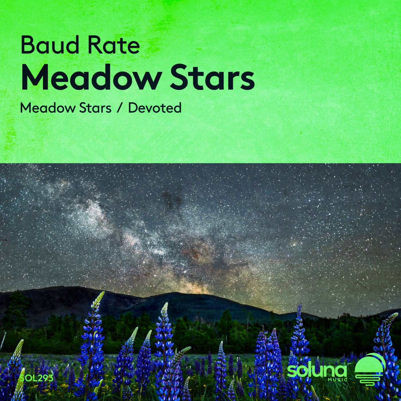 Meadow Stars