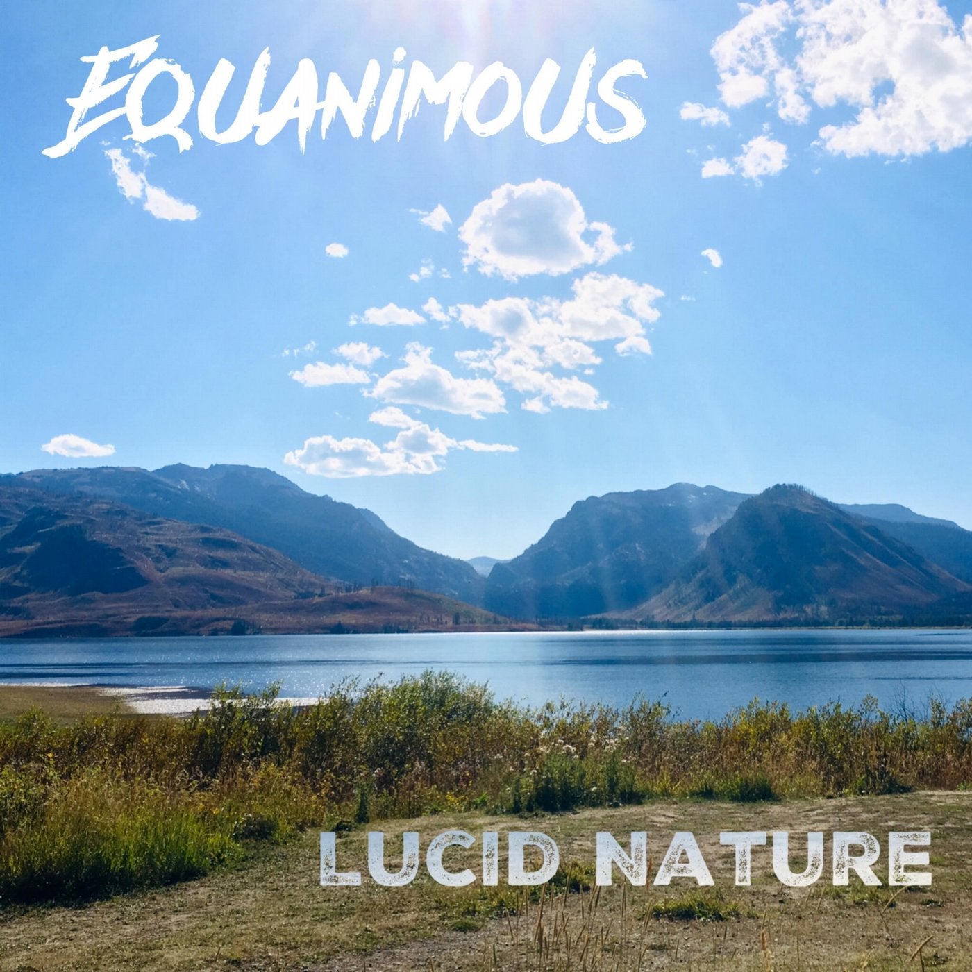 Lucid Nature