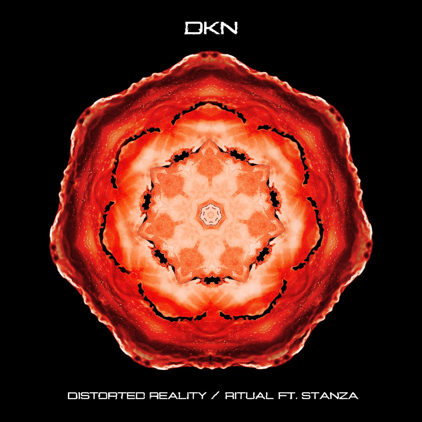 Distorted Reality / Ritual