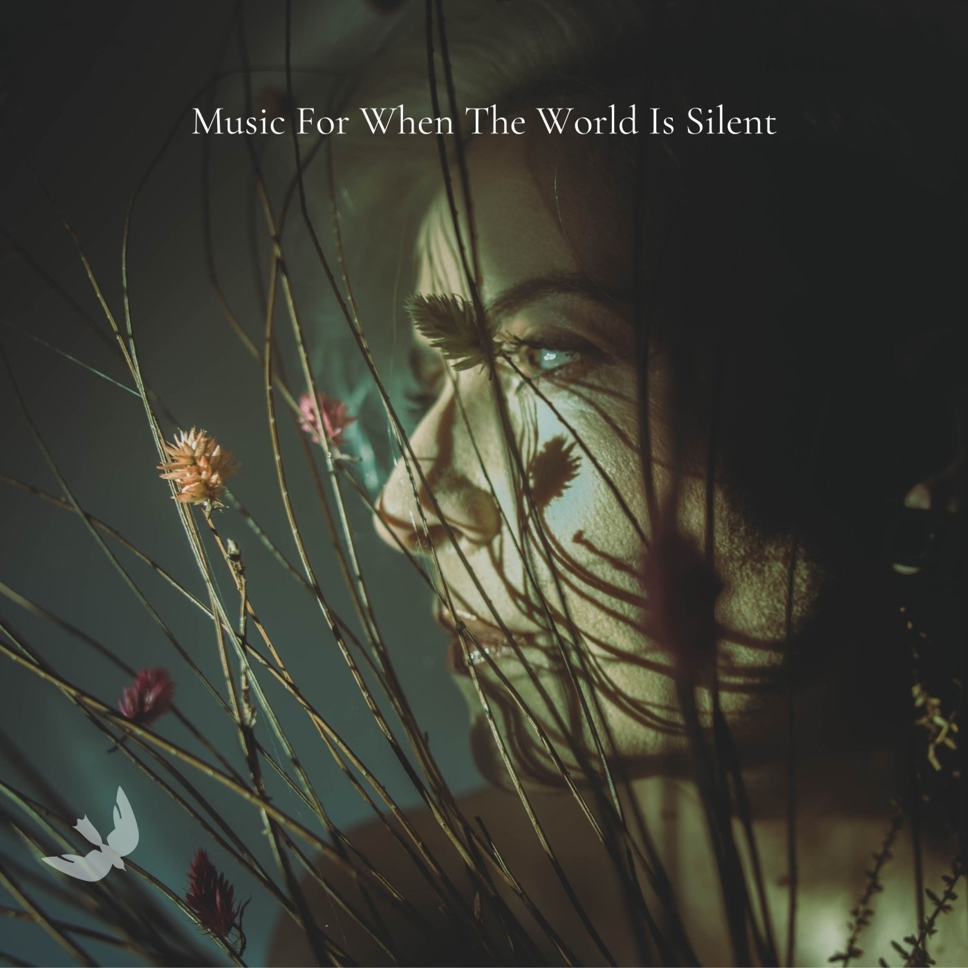 Music For When The World Is Silent