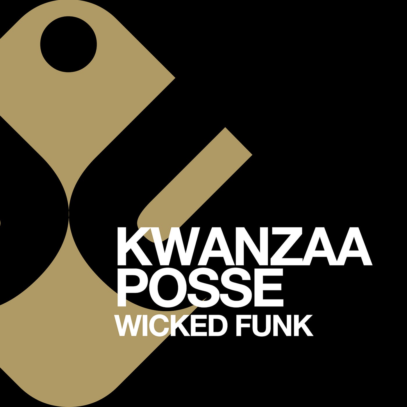 Wicked Funk (Remixes)