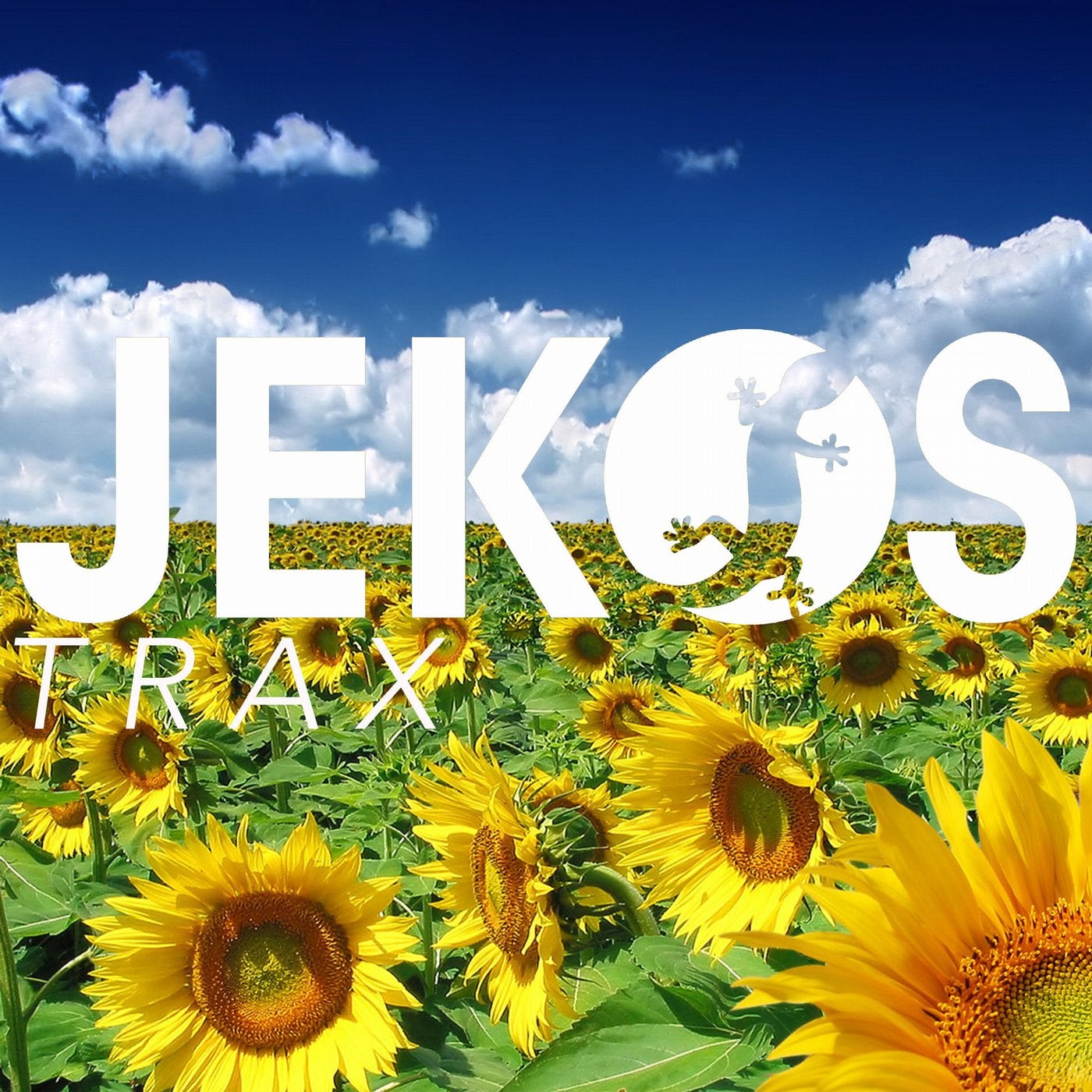 Jekos Trax Selection Vol.47