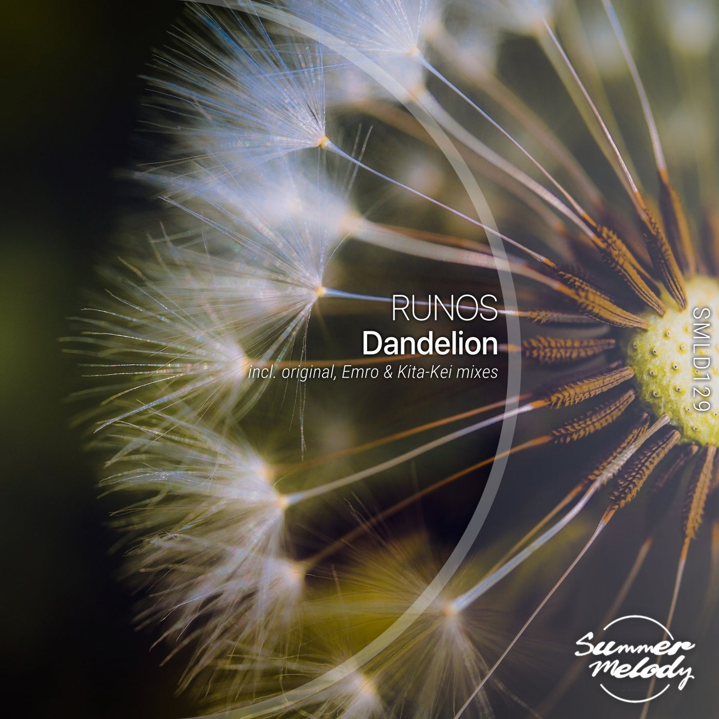 Dandelion