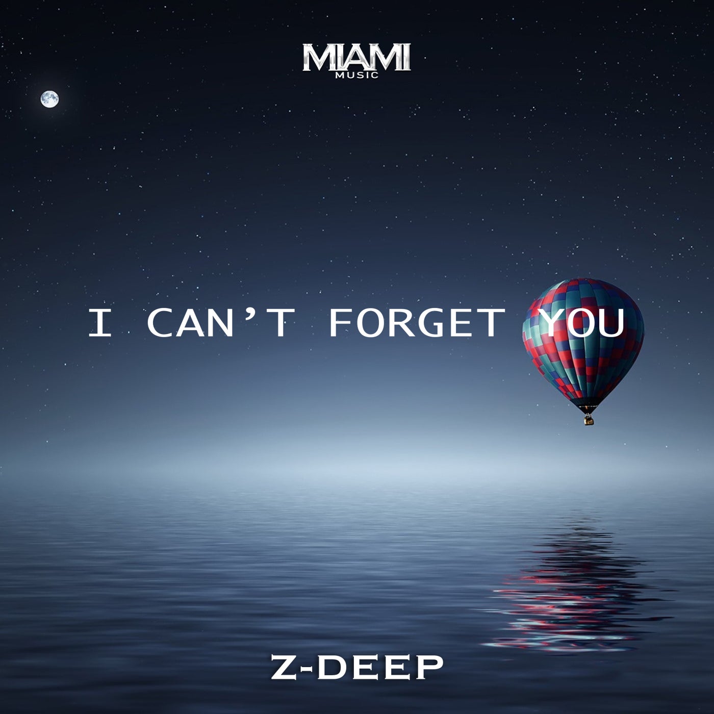 I Can't Forget You