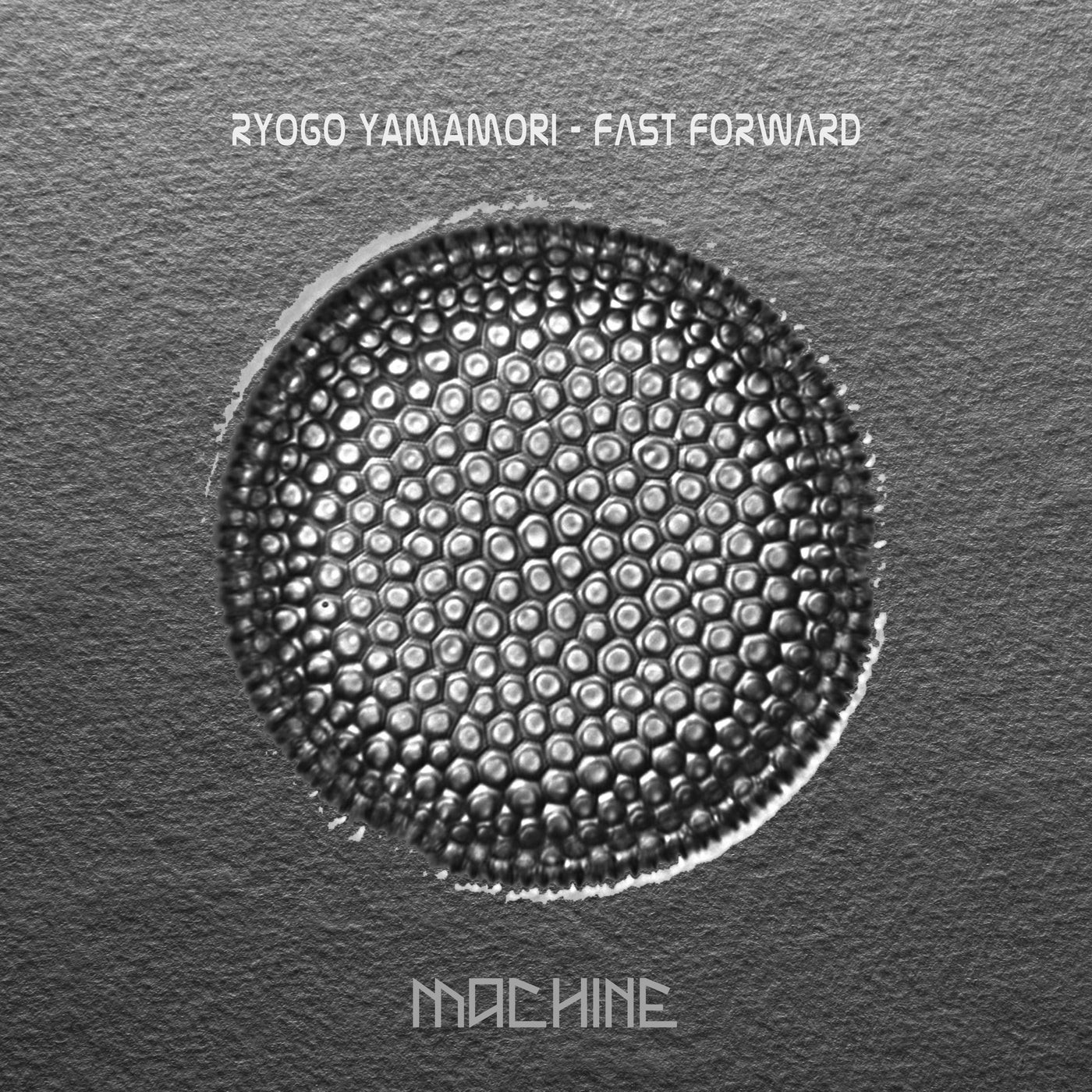 Fast Forward