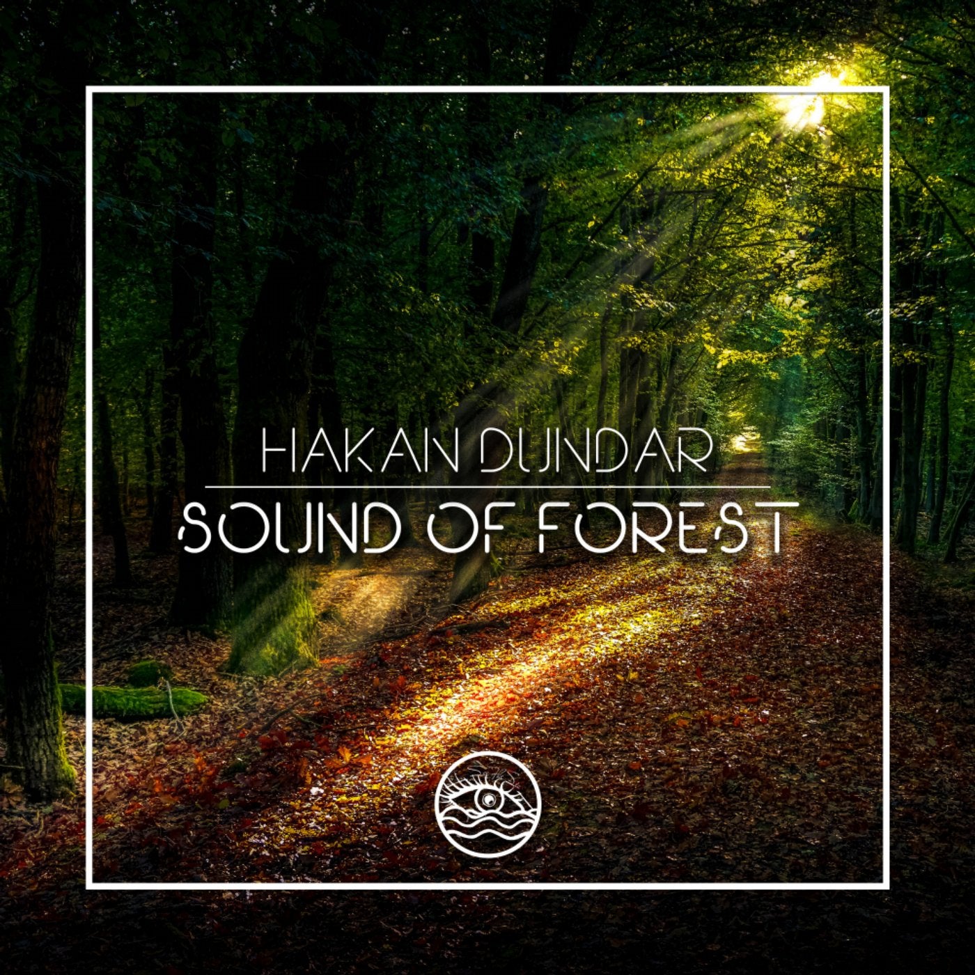 Sound Of Forest