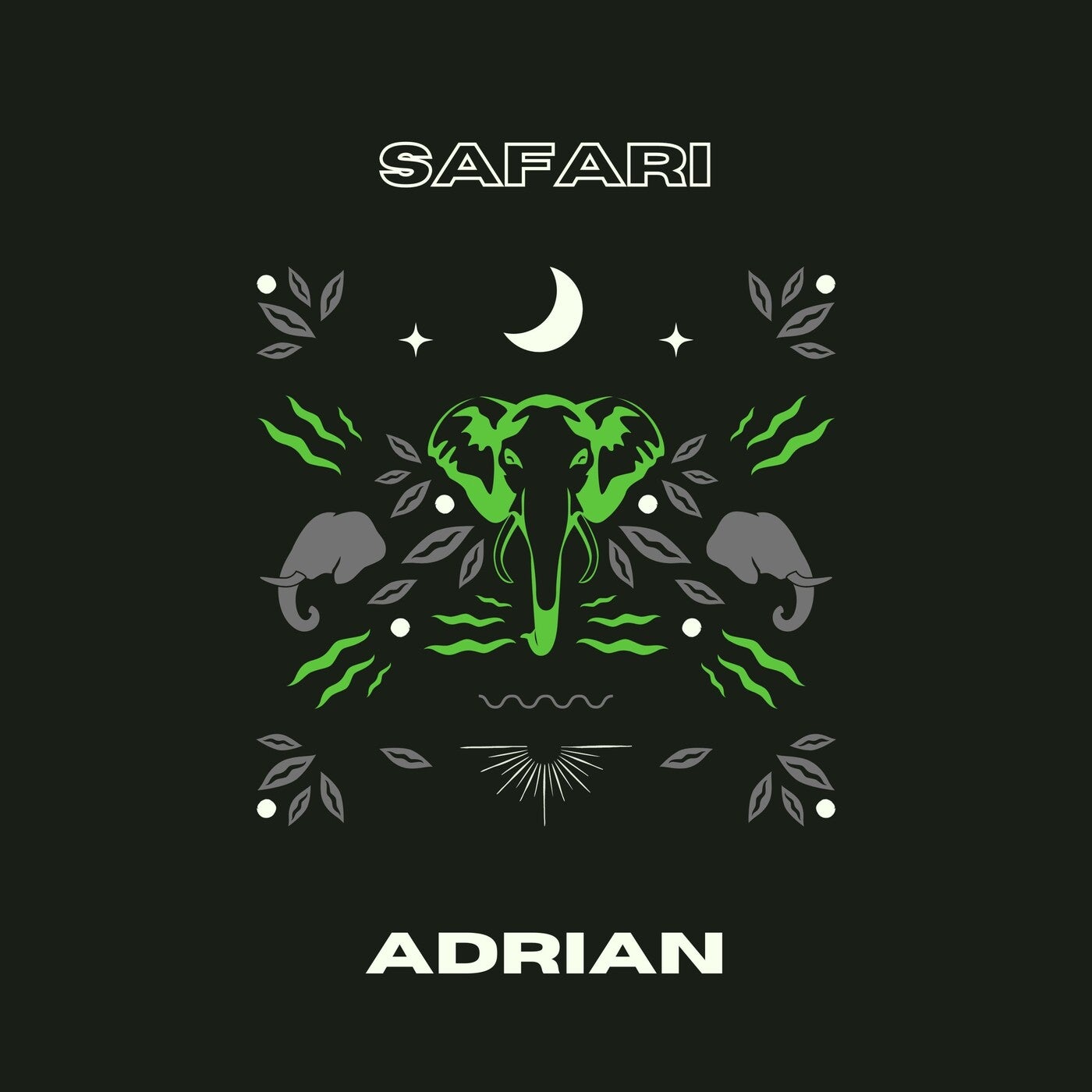 Safari