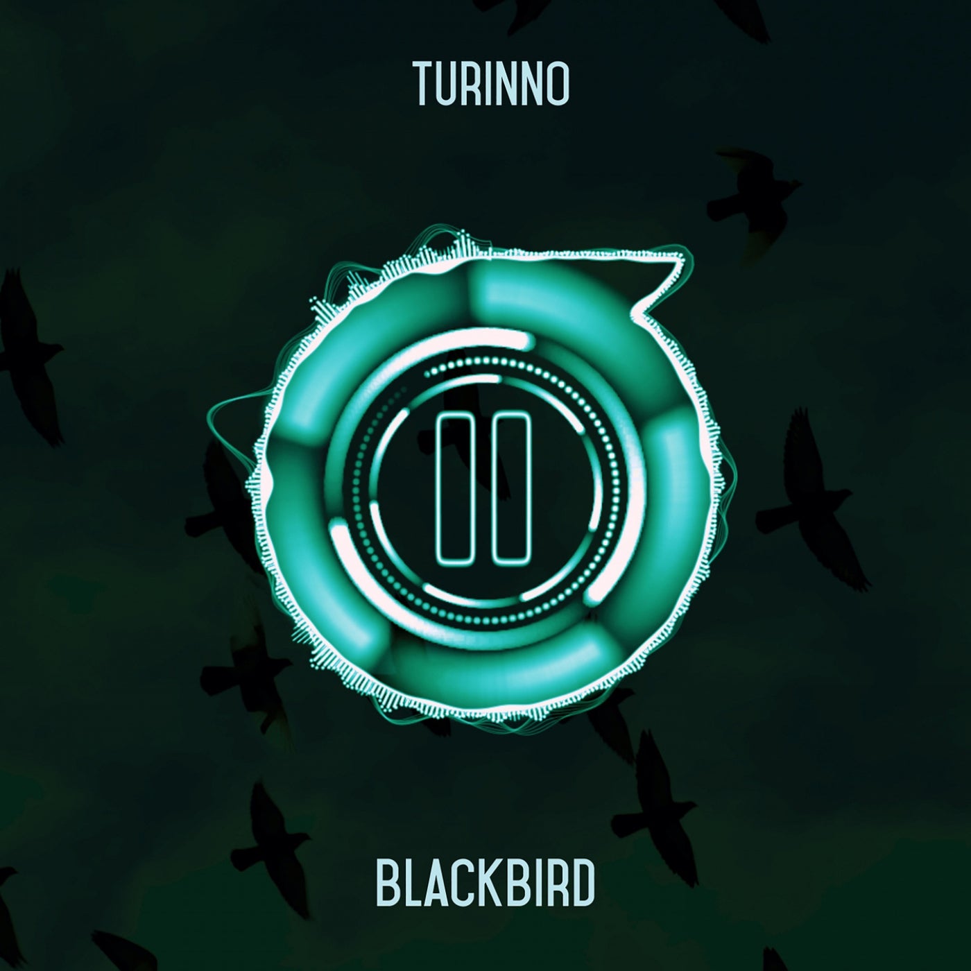 Blackbird