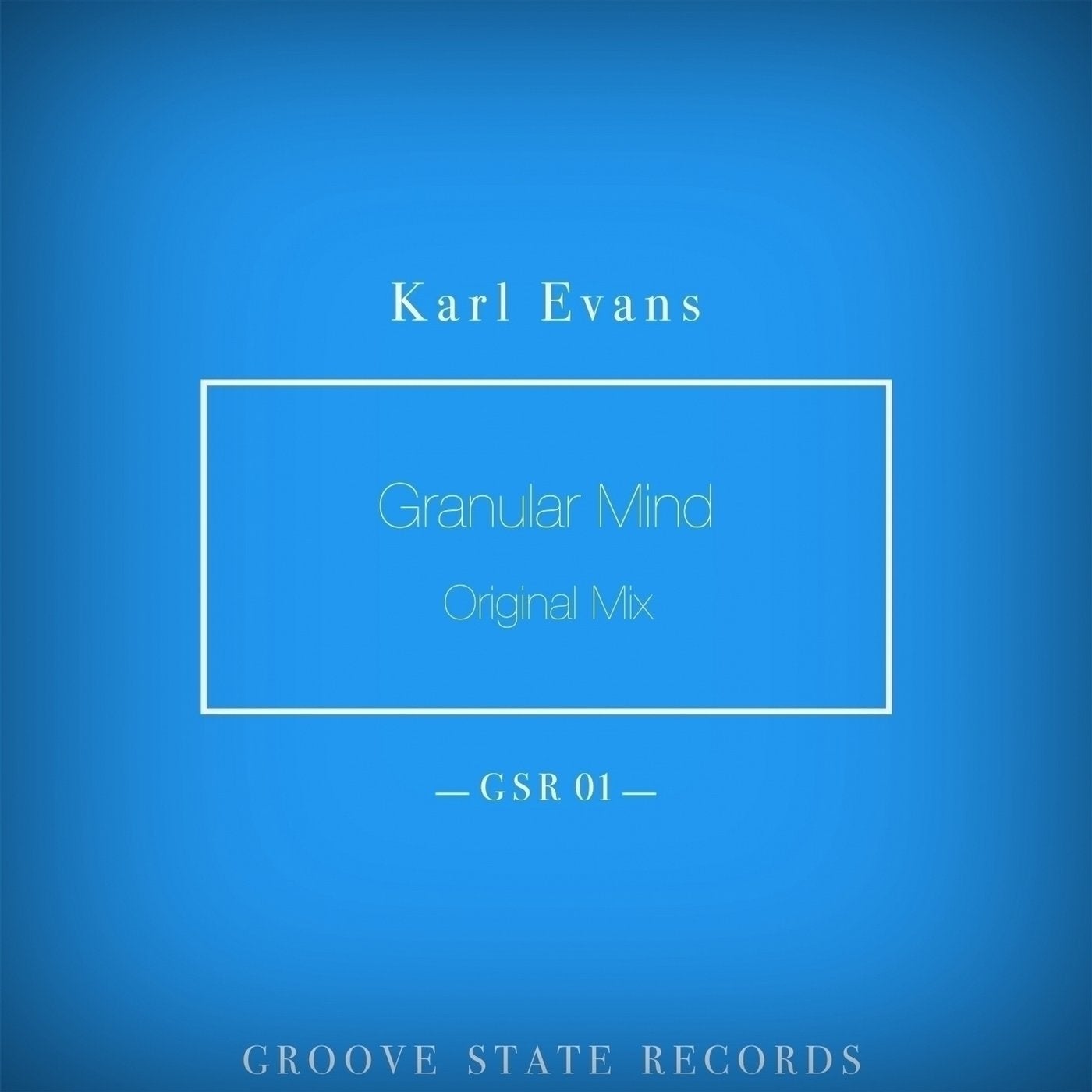 Granular Mind