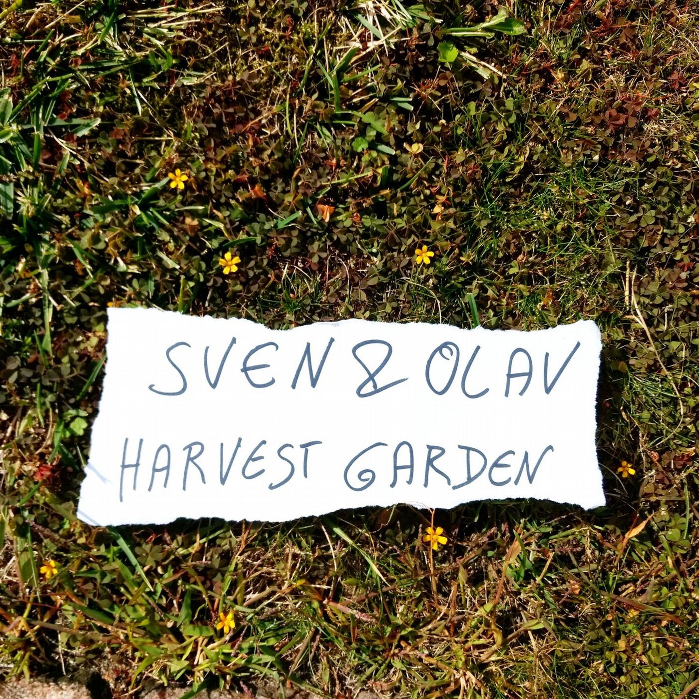 Harvest Garden