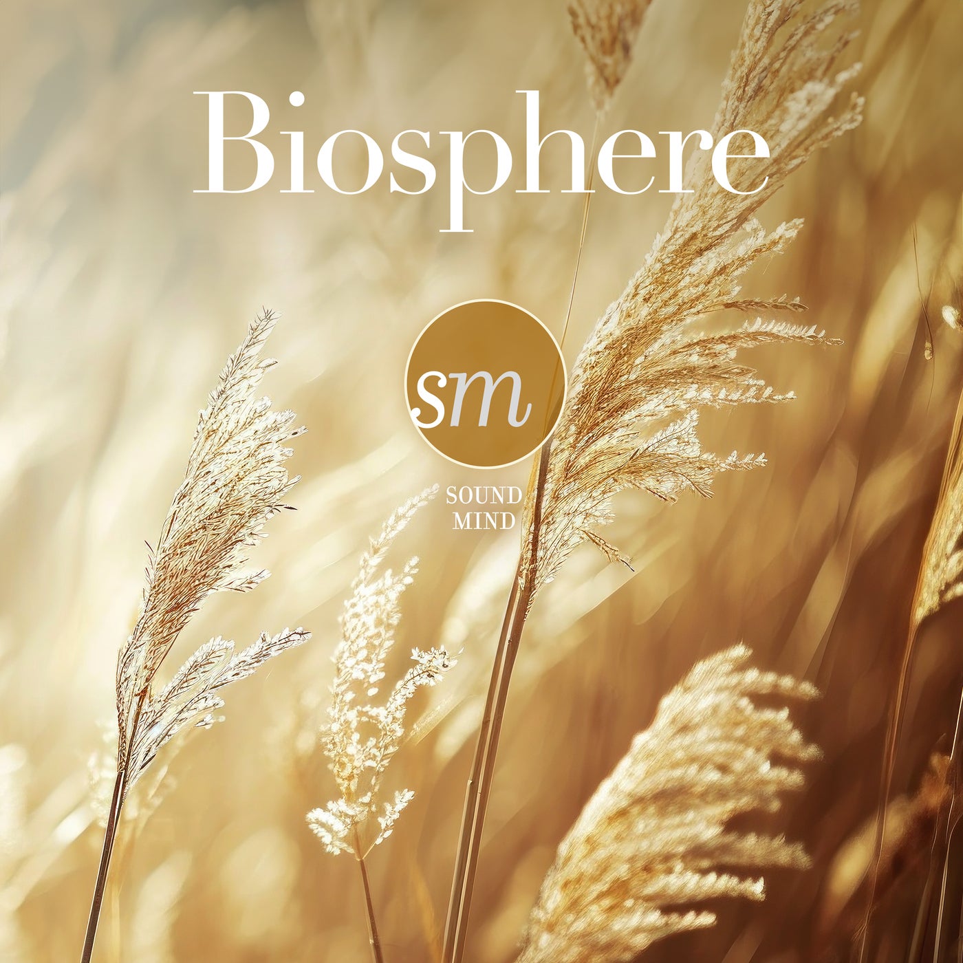 Biosphere