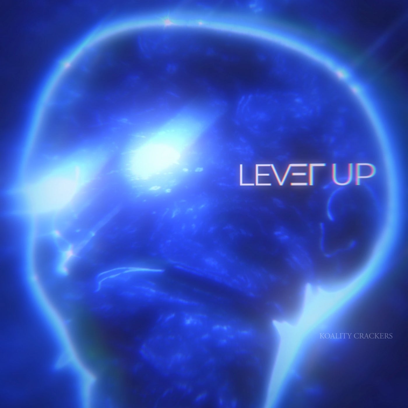 LEVEL UP