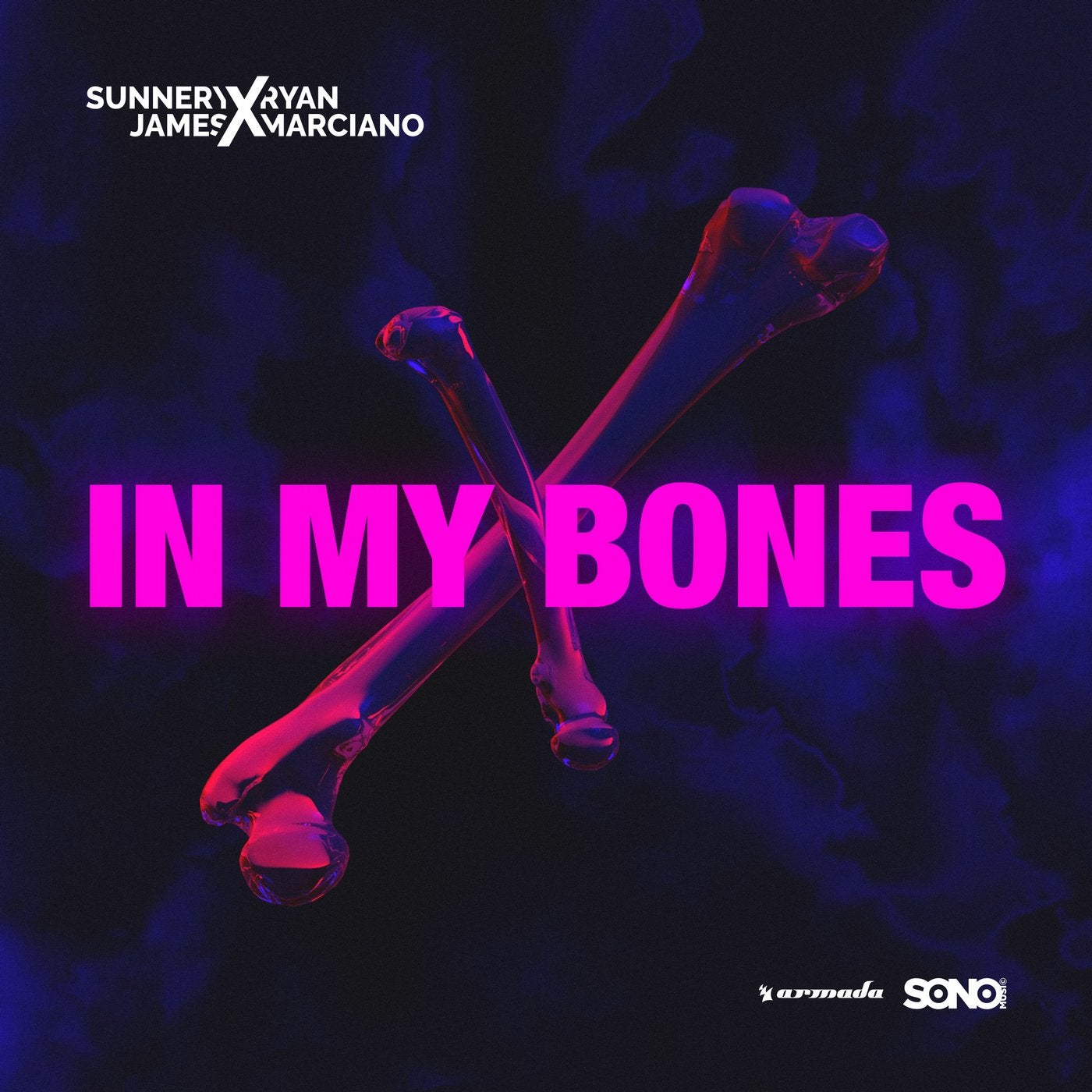 My bone песня. Bones плейлист. My Bones. Sunnery James Ryan Marciano. Magic in my Bones.