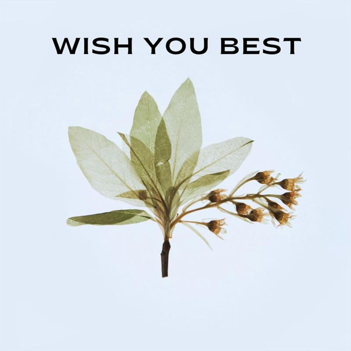 Wish You Best