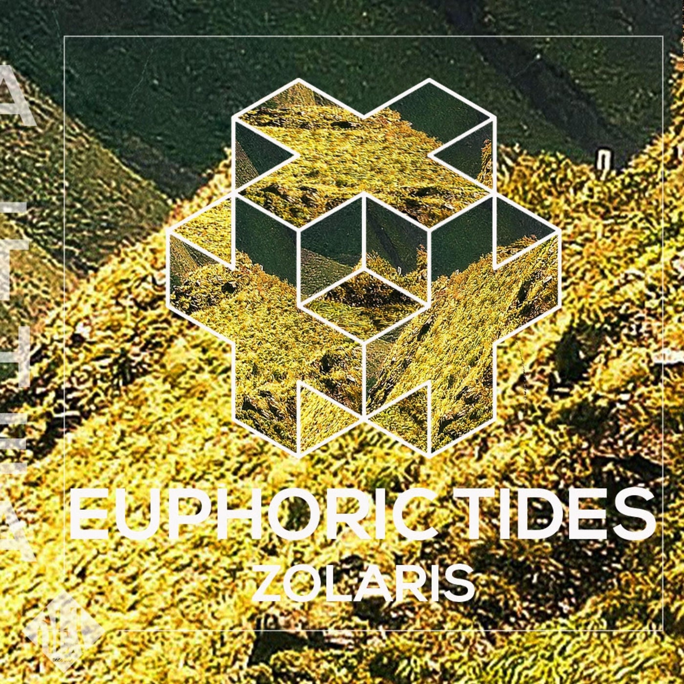 Euphoric Tides