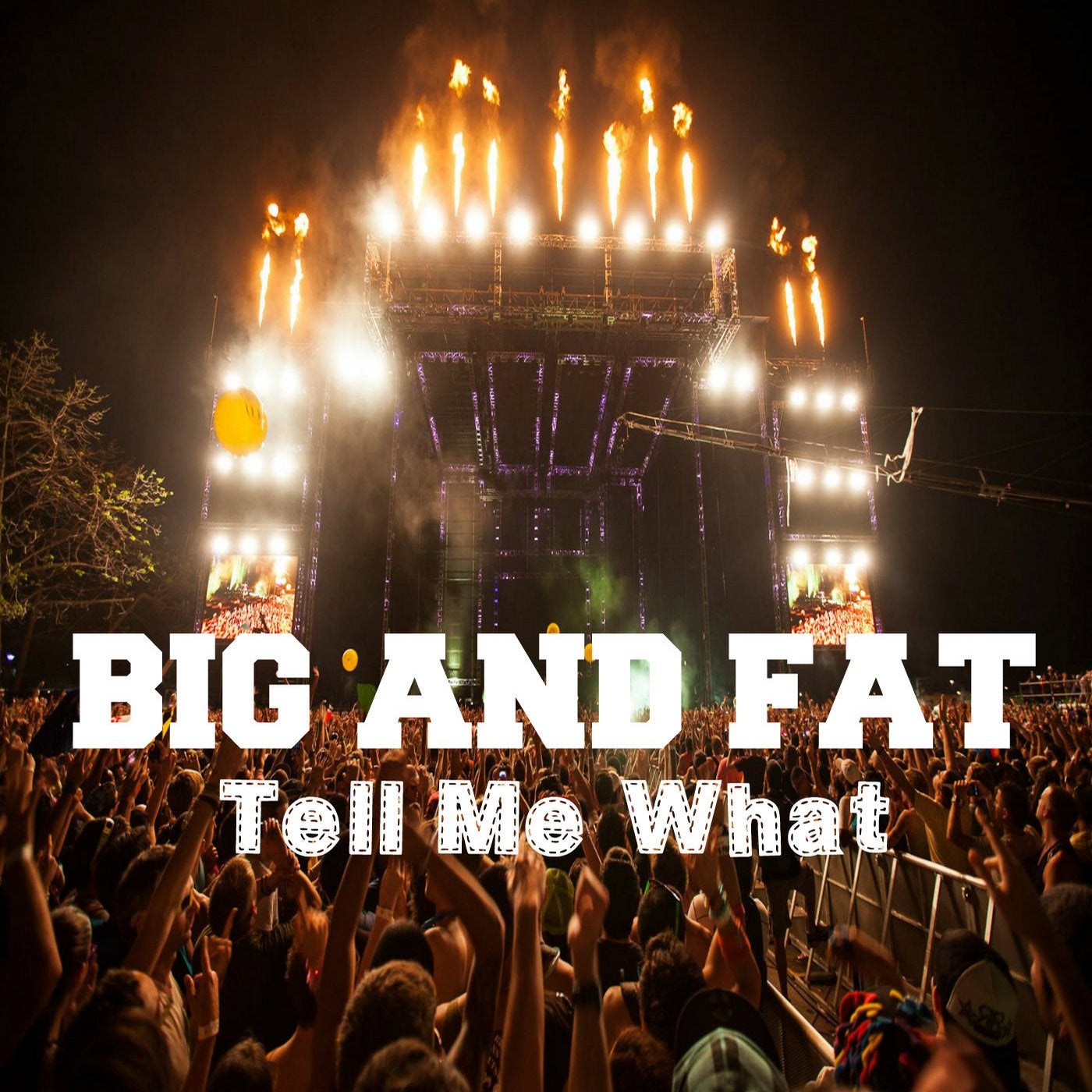 Big, Fat - Tell Me What [Royal Music Paris] | Music & Downloads on Beatport