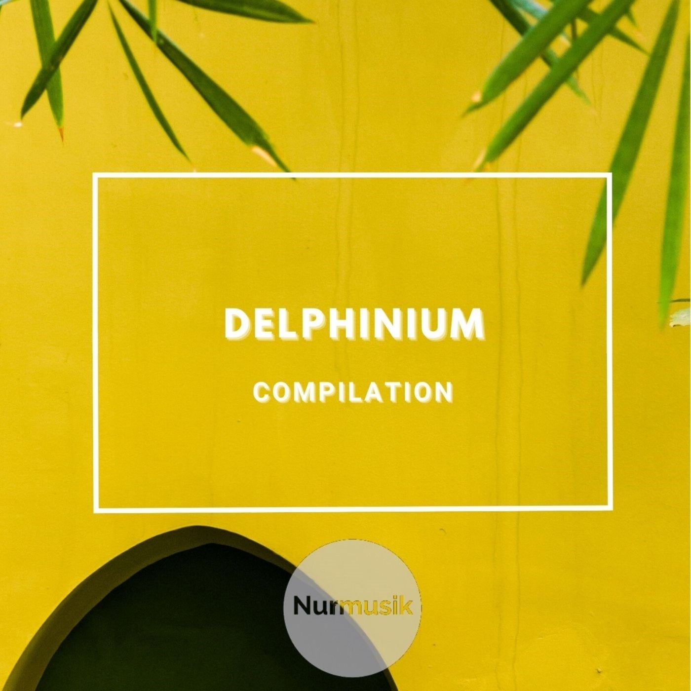 Delphinium