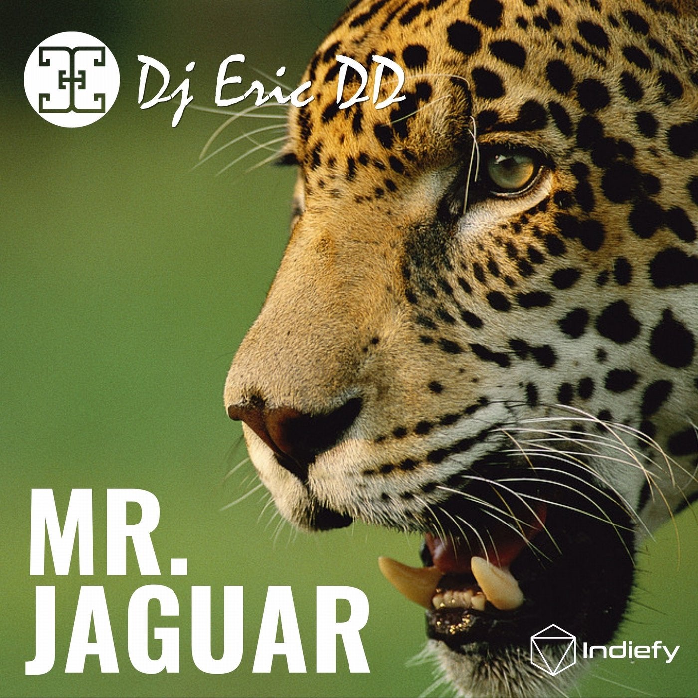 Mr. Jaguar