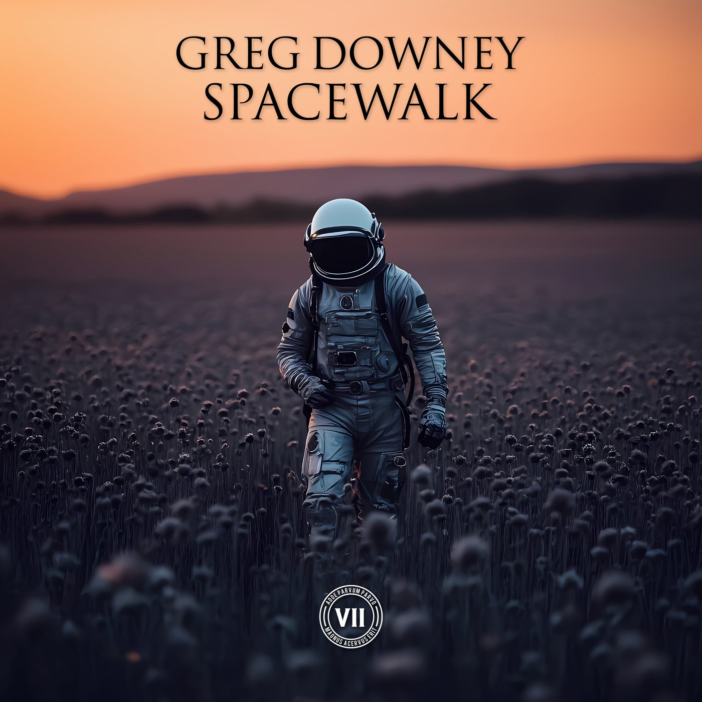 Spacewalk