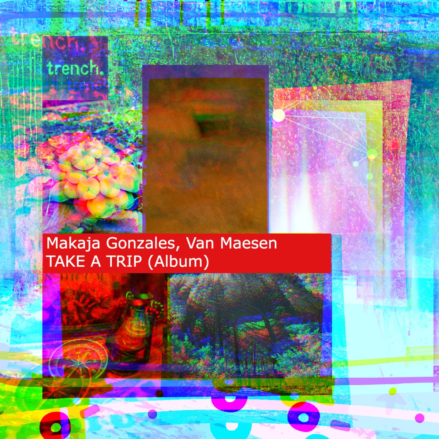 TAKE A TRIP (Album)