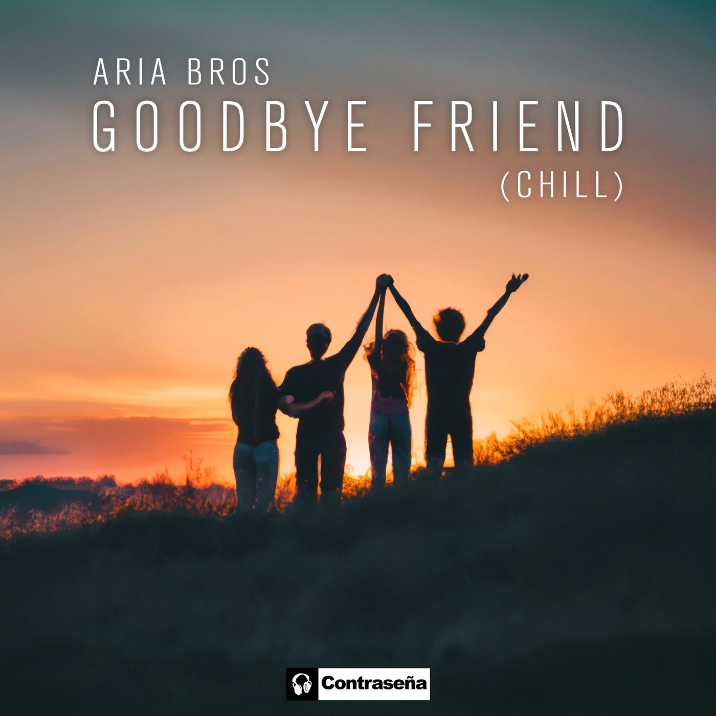 Goodbye Friend (Chill)