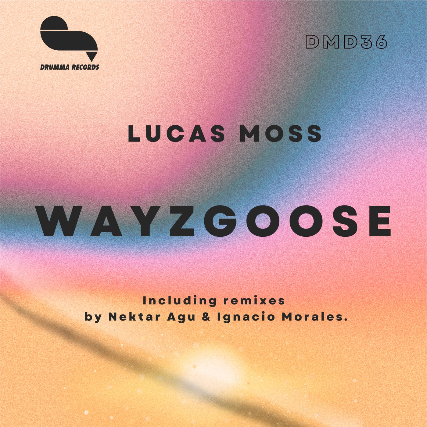 Wayzgoose