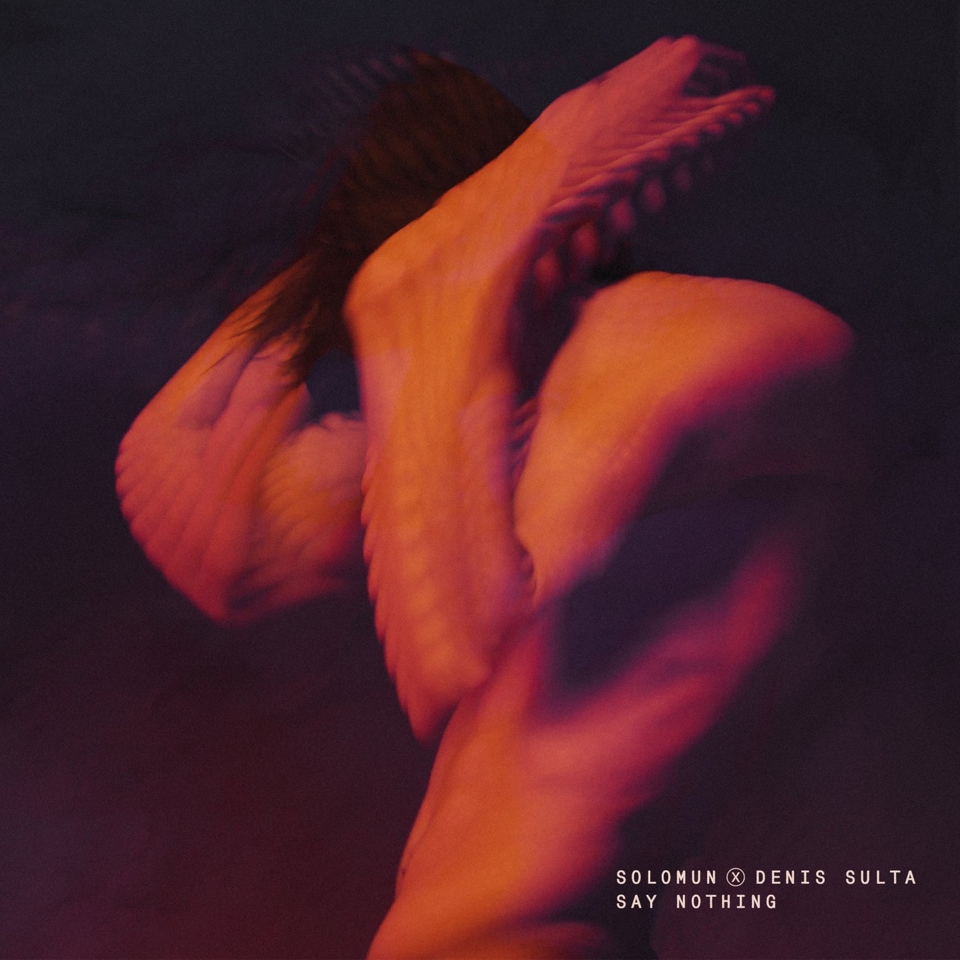 Cover art for Say Nothing